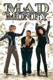 Mad Money 2008 one on netflix