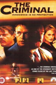 The Criminal 1999 one on netflix