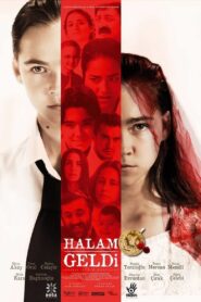Halam Geldi 2014 one on netflix