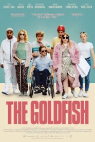 The Goldfish 2019 one on netflix