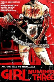 Girl Number Three 2009 one on netflix