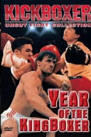 Year of the Kingboxer 1990 one on netflix