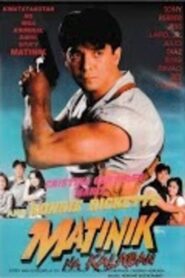 Matinik na Kalaban 1995 one on netflix