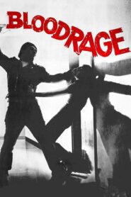 Bloodrage 1980 one on netflix