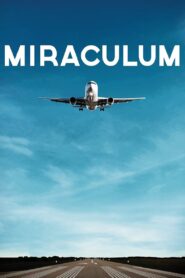 Miraculum 2014 one on netflix