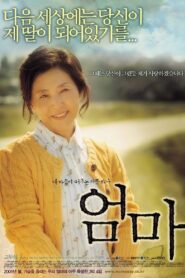 Long & Winding Road 2005 one on netflix