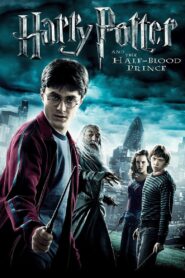 Harry Potter and the Half-Blood Prince 2009 one on netflix
