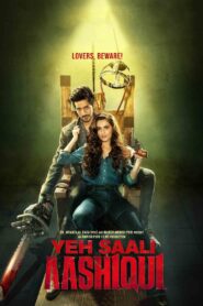 Yeh Saali Aashiqui 2019 one on netflix