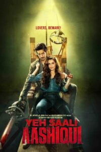 Yeh Saali Aashiqui 2019 one on netflix