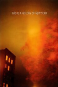 This Is a History of New York 1987 one on netflix