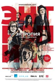 Entropy 2013 one on netflix