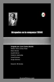 Atrapados en la venganza 1994 one on netflix