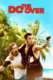 The Do-Over 2016 one on netflix