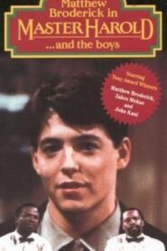 ‘Master Harold’… and the Boys 1985 one on netflix