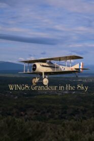 Wings: Grandeur in the Sky 2012 one on netflix
