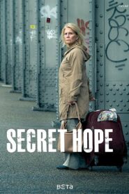 Secret Hope 2014 one on netflix