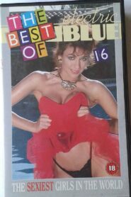 Electric Blue: The Best of Electric Blue 16 1989 one on netflix