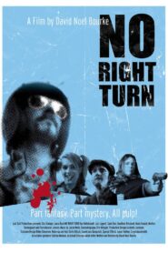No Right Turn 2009 one on netflix