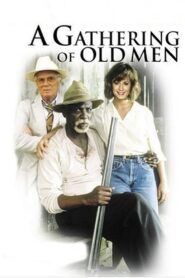A Gathering of Old Men 1987 one on netflix