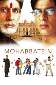 Mohabbatein 2000 one on netflix