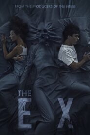 The Ex 2021 one on netflix