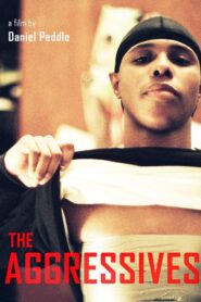 The Aggressives 2005 one on netflix