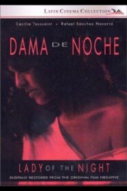 Dama de Noche 1993 one on netflix