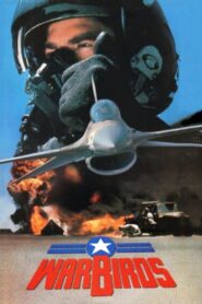 Warbirds 1989 one on netflix