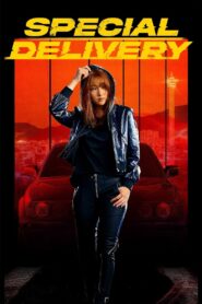 Special Delivery 2022 one on netflix