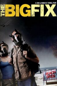 The Big Fix 2011 one on netflix
