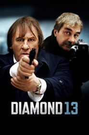 Diamond 13 2009 one on netflix