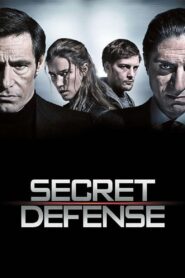 Secrets of State 2008 one on netflix