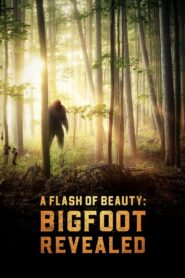 A Flash of Beauty: Bigfoot Revealed 2022 one on netflix