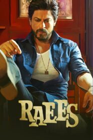 Raees 2017 one on netflix