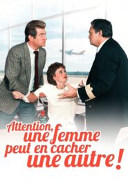 My Other Husband 1983 one on netflix