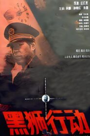 黑狮行动 1993 one on netflix