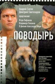 Guide 2007 one on netflix