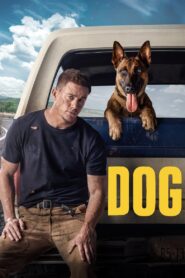Dog 2022 one on netflix