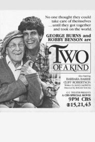 Two of a Kind 1982 one on netflix