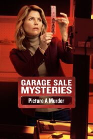 Garage Sale Mysteries: Picture a Murder 2018 one on netflix