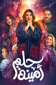 Amina’s Dream 2022 one on netflix
