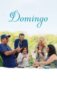 Domingo 2018 one on netflix