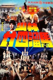 Raiders of the Shaolin Temple 1982 one on netflix