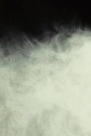 An Example of Lee-Roth Fog, Isolated Under Laboratory Conditions 2022 one on netflix