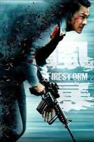 Firestorm 2013 one on netflix