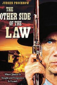 The Other Side of the Law 1994 one on netflix