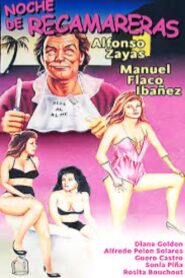 Noche de recamareras 1990 one on netflix