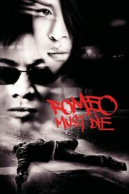 Romeo Must Die 2000 one on netflix
