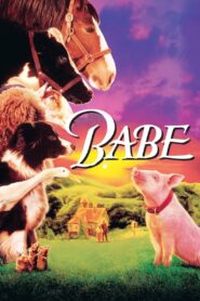 Babe 1995 one on netflix