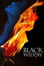 Black Widow 2008 one on netflix